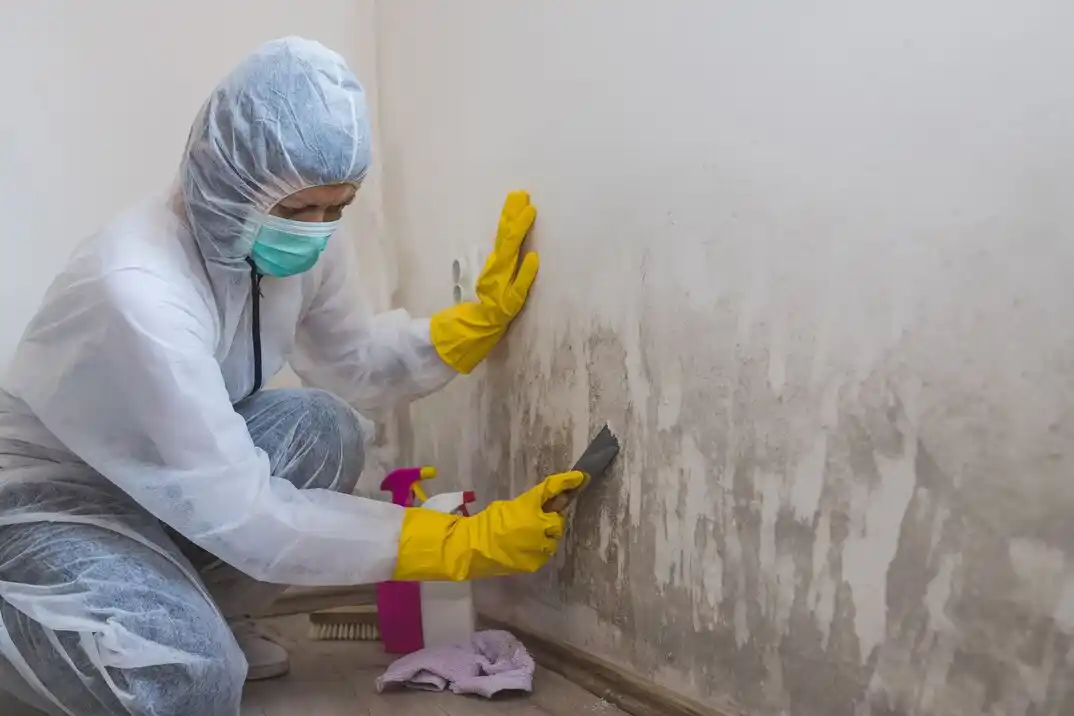 water damage restoration service Blue Diamond